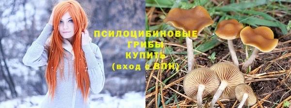 амфетамин Пестово