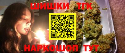 тгк Сланцы