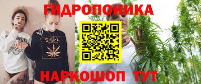 тгк Сланцы
