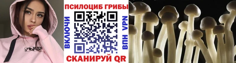 ссылка на мегу   купить наркотики сайты  Санкт-Петербург  Галлюциногенные грибы Cubensis 