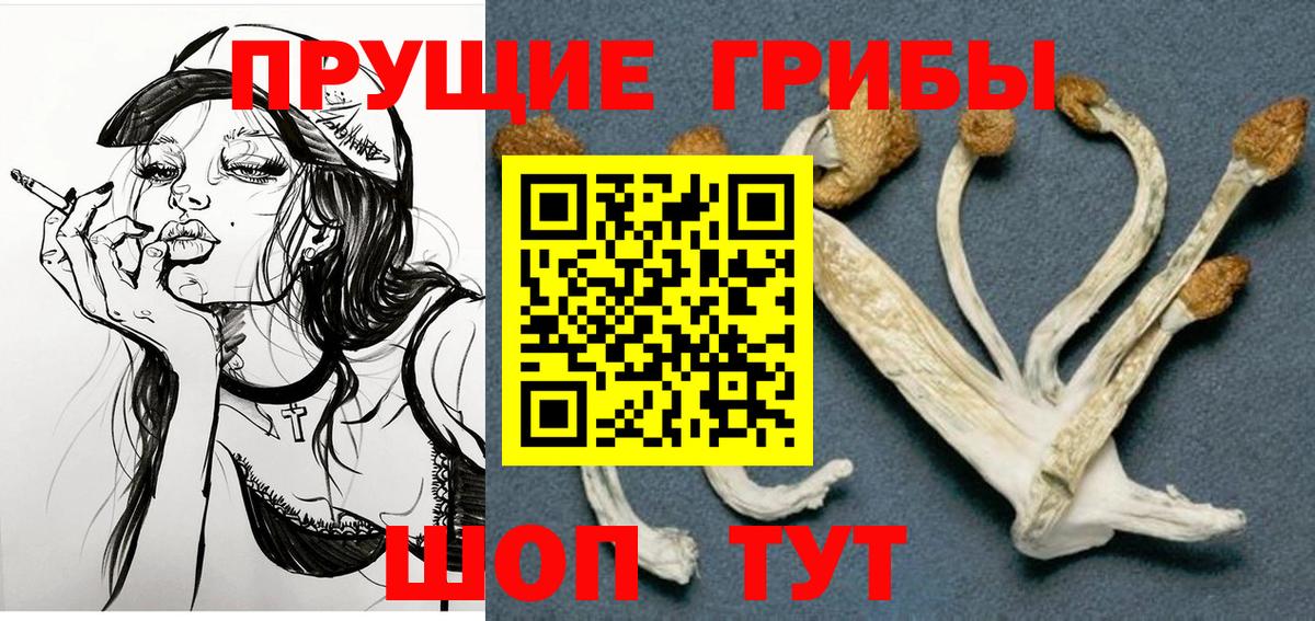 Галлюциногенные грибы Magic Shrooms  как найти закладки  Санкт-Петербург  Вход с VPN 